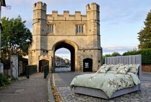 Why St James Bed Centre Delivers The Best Customer Service For Beds in King's Lynn